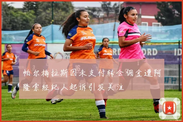 帕尔梅拉斯因未支付转会佣金遭阿隆索经纪人起诉引发关注