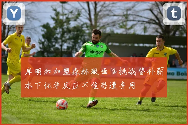 库明加加盟森林狼面临挑战替补薪水下化学反应不佳恐遭弃用